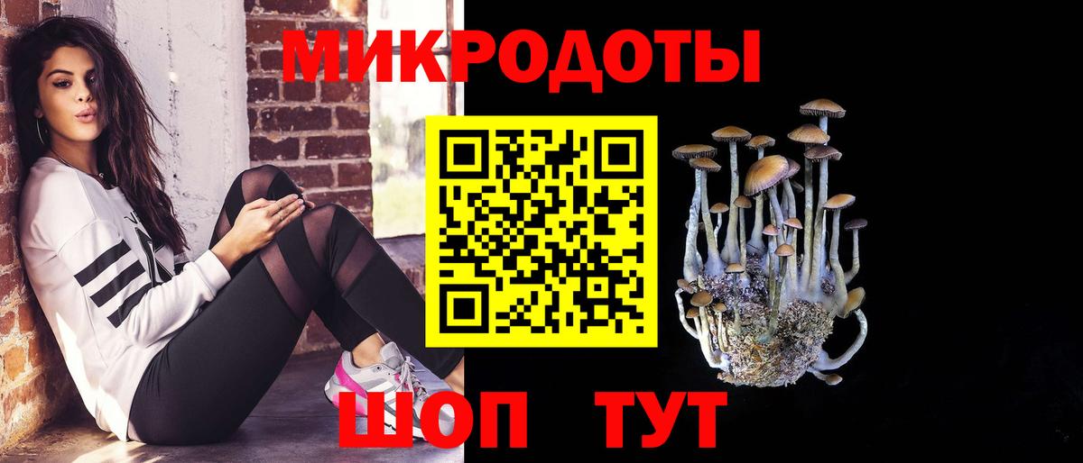 Нерюнгри  Псилоцибиновые грибы Psilocybine cubensis  Галлюциногенные грибы мицелий  Вход с VPN 