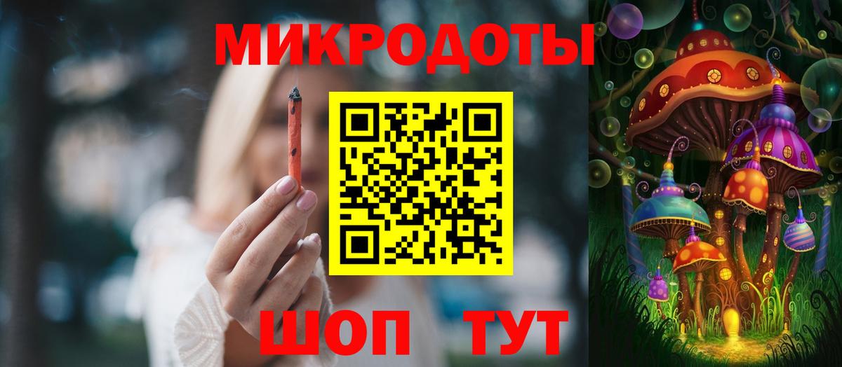 Псилоцибиновые грибы Cubensis Нерюнгри